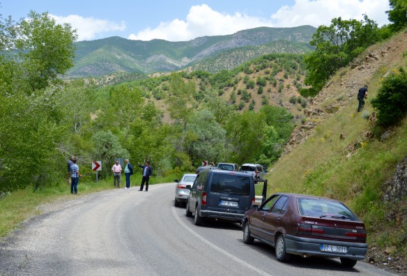 The road to Ovacik. 