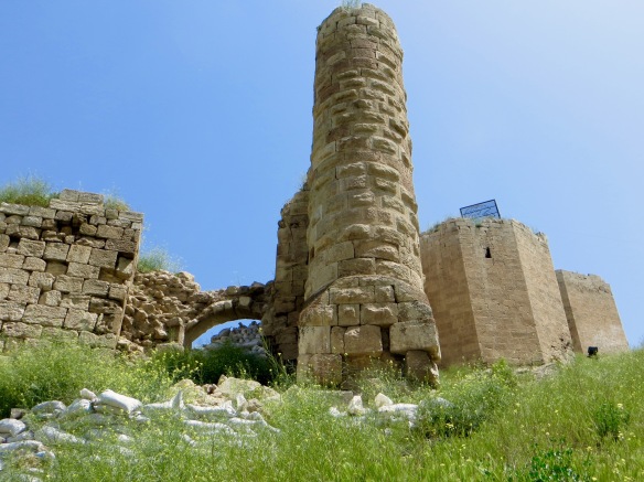The citadel, Divrigi. 