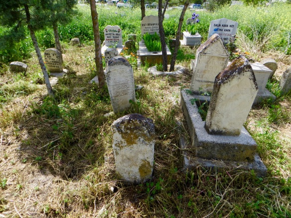 A cemetery, Divrigi. 