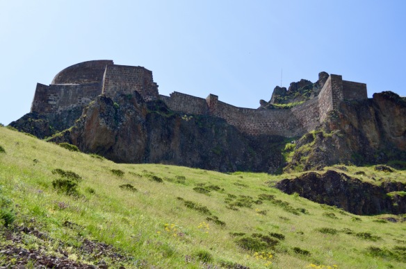 The citadel, Mazgirt. 